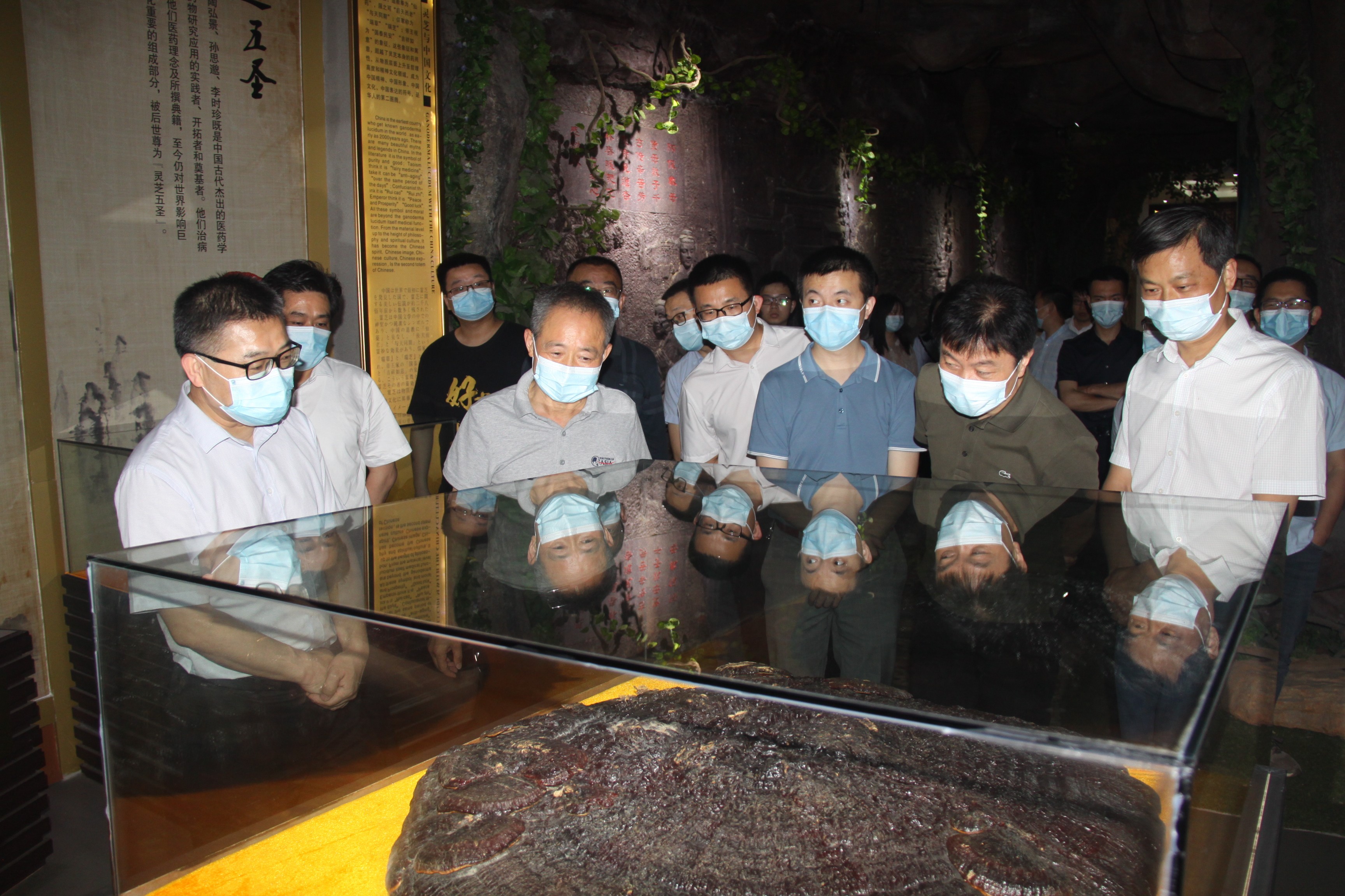 杭州亞運(yùn)會(huì)官方靈芝產(chǎn)品供應(yīng)商|杭州亞運(yùn)會(huì)官方供應(yīng)商|中國(guó)靈芝十大品牌|仙客來(lái)靈芝|仙客來(lái)靈芝破壁孢子粉|仙客來(lái)孢子油|仙客來(lái)靈芝飲片|仙客來(lái)破壁孢子粉|靈芝孢子油|孢子粉|靈芝破壁孢子粉|靈芝|中華老字號(hào) 杭州亞運(yùn)會(huì)官方靈芝產(chǎn)品供應(yīng)商|杭州亞運(yùn)會(huì)官方供應(yīng)商|中國(guó)靈芝十大品牌|仙客來(lái)靈芝|仙客來(lái)靈芝破壁孢子粉|仙客來(lái)孢子油|仙客來(lái)靈芝飲片|仙客來(lái)破壁孢子粉|靈芝孢子油|孢子粉|靈芝破壁孢子粉|靈芝|中華老字號(hào)