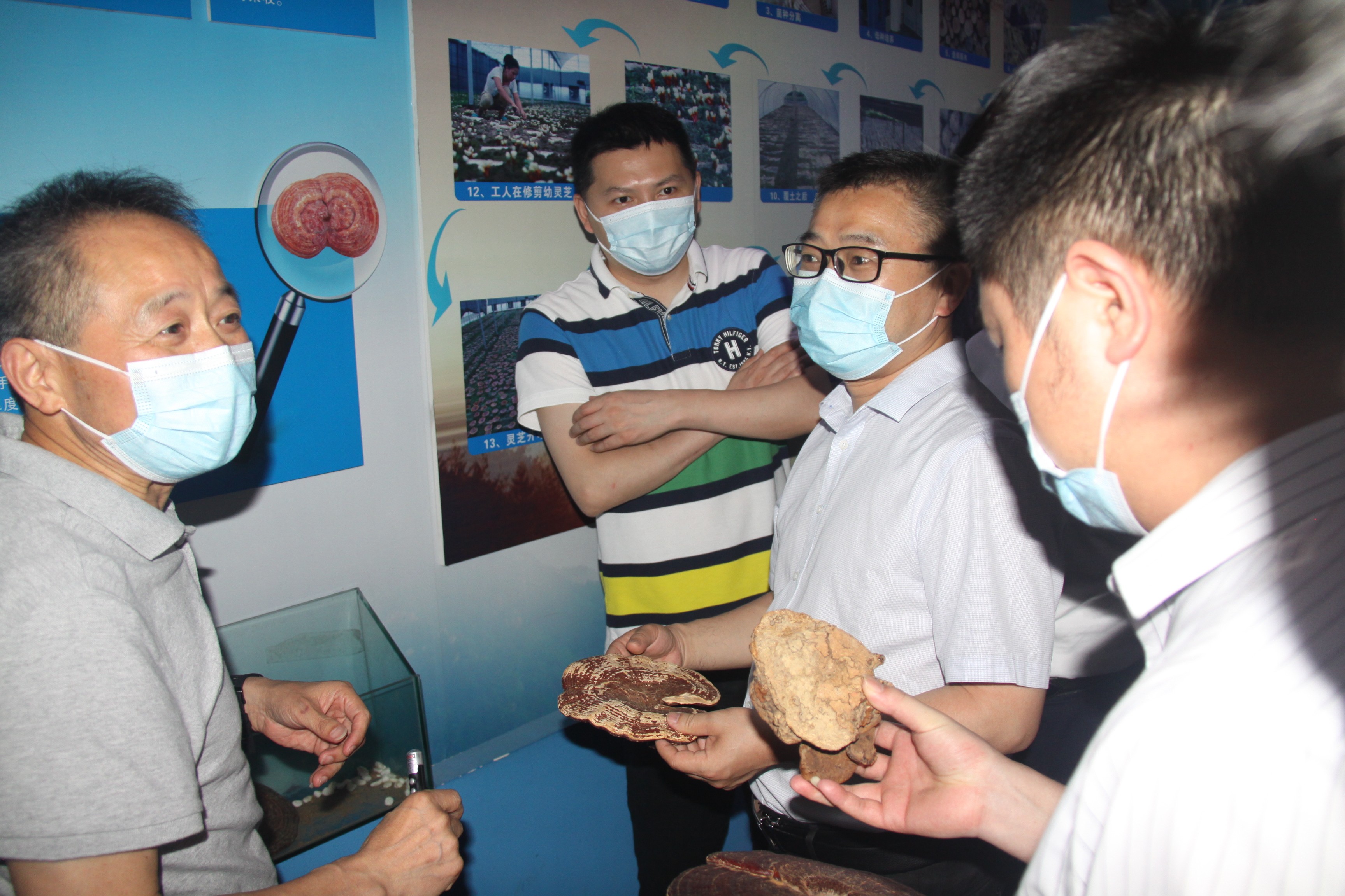 杭州亞運(yùn)會(huì)官方靈芝產(chǎn)品供應(yīng)商|杭州亞運(yùn)會(huì)官方供應(yīng)商|中國(guó)靈芝十大品牌|仙客來(lái)靈芝|仙客來(lái)靈芝破壁孢子粉|仙客來(lái)孢子油|仙客來(lái)靈芝飲片|仙客來(lái)破壁孢子粉|靈芝孢子油|孢子粉|靈芝破壁孢子粉|靈芝|中華老字號(hào) 杭州亞運(yùn)會(huì)官方靈芝產(chǎn)品供應(yīng)商|杭州亞運(yùn)會(huì)官方供應(yīng)商|中國(guó)靈芝十大品牌|仙客來(lái)靈芝|仙客來(lái)靈芝破壁孢子粉|仙客來(lái)孢子油|仙客來(lái)靈芝飲片|仙客來(lái)破壁孢子粉|靈芝孢子油|孢子粉|靈芝破壁孢子粉|靈芝|中華老字號(hào)