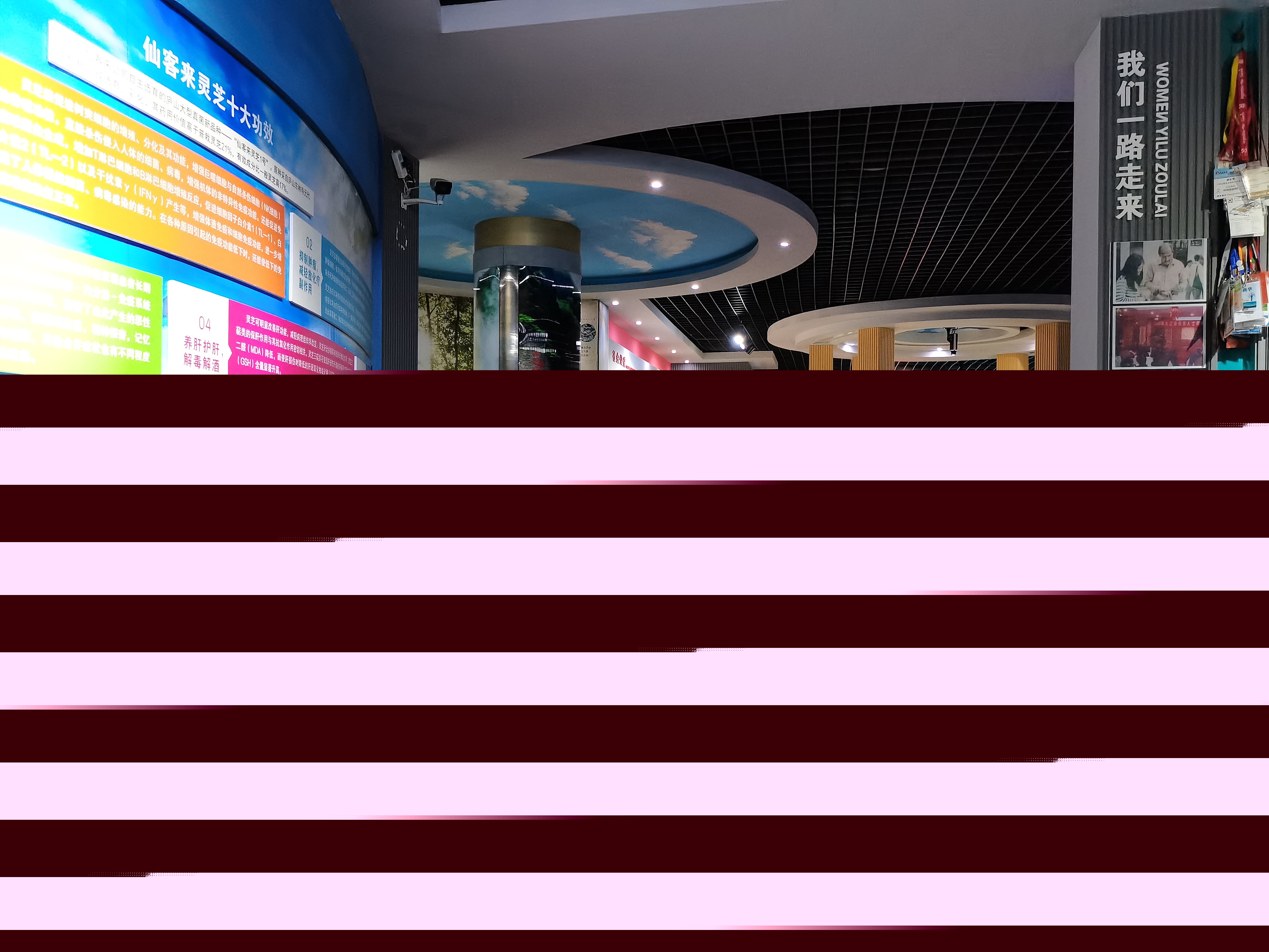 杭州亞運(yùn)會(huì)官方靈芝產(chǎn)品供應(yīng)商|杭州亞運(yùn)會(huì)官方供應(yīng)商|中國(guó)靈芝十大品牌|仙客來(lái)靈芝|仙客來(lái)靈芝破壁孢子粉|仙客來(lái)孢子油|仙客來(lái)靈芝飲片|仙客來(lái)破壁孢子粉|靈芝孢子油|孢子粉|靈芝破壁孢子粉|靈芝|中華老字號(hào)