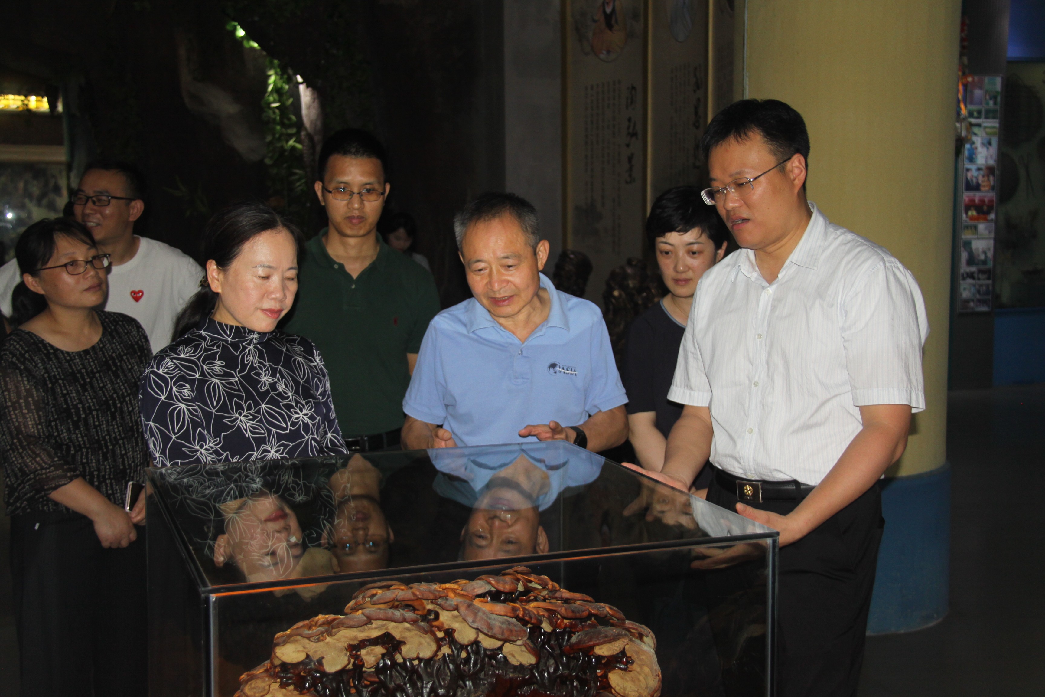 杭州亞運(yùn)會官方靈芝產(chǎn)品供應(yīng)商|杭州亞運(yùn)會官方供應(yīng)商|中國靈芝十大品牌|仙客來靈芝|仙客來靈芝破壁孢子粉|仙客來孢子油|仙客來靈芝飲片|仙客來破壁孢子粉|靈芝孢子油|孢子粉|靈芝破壁孢子粉|靈芝|中華老字號 杭州亞運(yùn)會官方靈芝產(chǎn)品供應(yīng)商|杭州亞運(yùn)會官方供應(yīng)商|中國靈芝十大品牌|仙客來靈芝|仙客來靈芝破壁孢子粉|仙客來孢子油|仙客來靈芝飲片|仙客來破壁孢子粉|靈芝孢子油|孢子粉|靈芝破壁孢子粉|靈芝|中華老字號