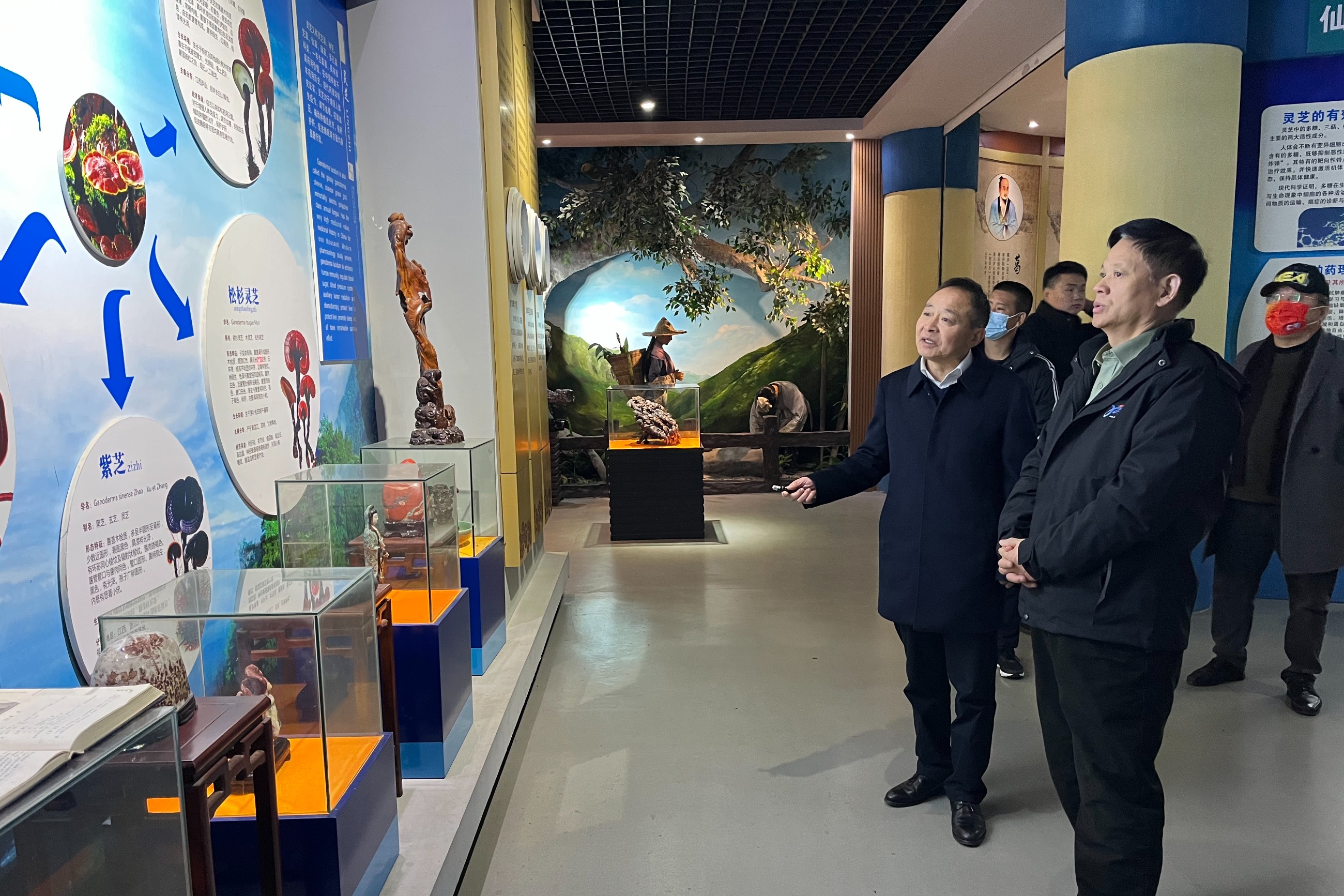 杭州亞運(yùn)會(huì)官方靈芝產(chǎn)品供應(yīng)商|杭州亞運(yùn)會(huì)官方供應(yīng)商|中國(guó)靈芝十大品牌|仙客來靈芝|仙客來靈芝破壁孢子粉|仙客來孢子油|仙客來靈芝飲片|仙客來破壁孢子粉|靈芝孢子油|孢子粉|靈芝破壁孢子粉|靈芝|中華老字號(hào)