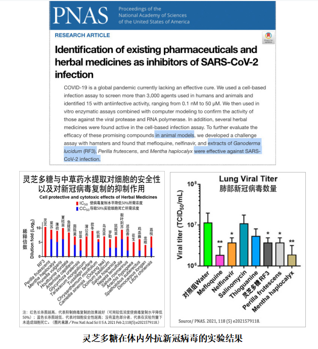 杭州亞運會官方靈芝產(chǎn)品供應商|杭州亞運會官方供應商|中國靈芝十大品牌|仙客來靈芝|仙客來靈芝破壁孢子粉|仙客來孢子油|仙客來靈芝飲片|仙客來破壁孢子粉|靈芝孢子油|孢子粉|靈芝破壁孢子粉|靈芝|中華老字號