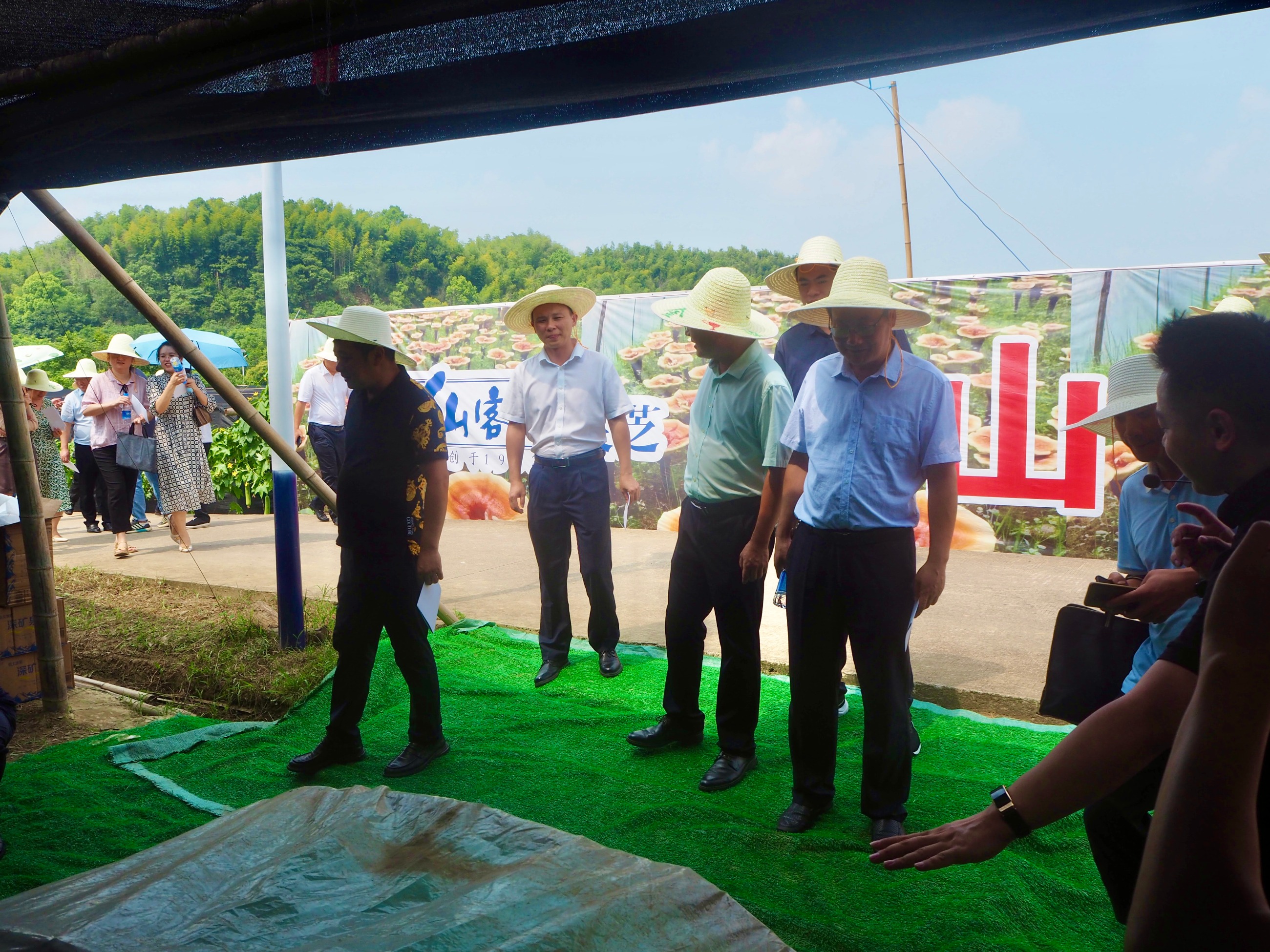 杭州亞運(yùn)會官方靈芝產(chǎn)品供應(yīng)商|杭州亞運(yùn)會官方供應(yīng)商|中國靈芝十大品牌|仙客來靈芝|仙客來靈芝破壁孢子粉|仙客來孢子油|仙客來靈芝飲片|仙客來破壁孢子粉|靈芝孢子油|孢子粉|靈芝破壁孢子粉|靈芝|中華老字號