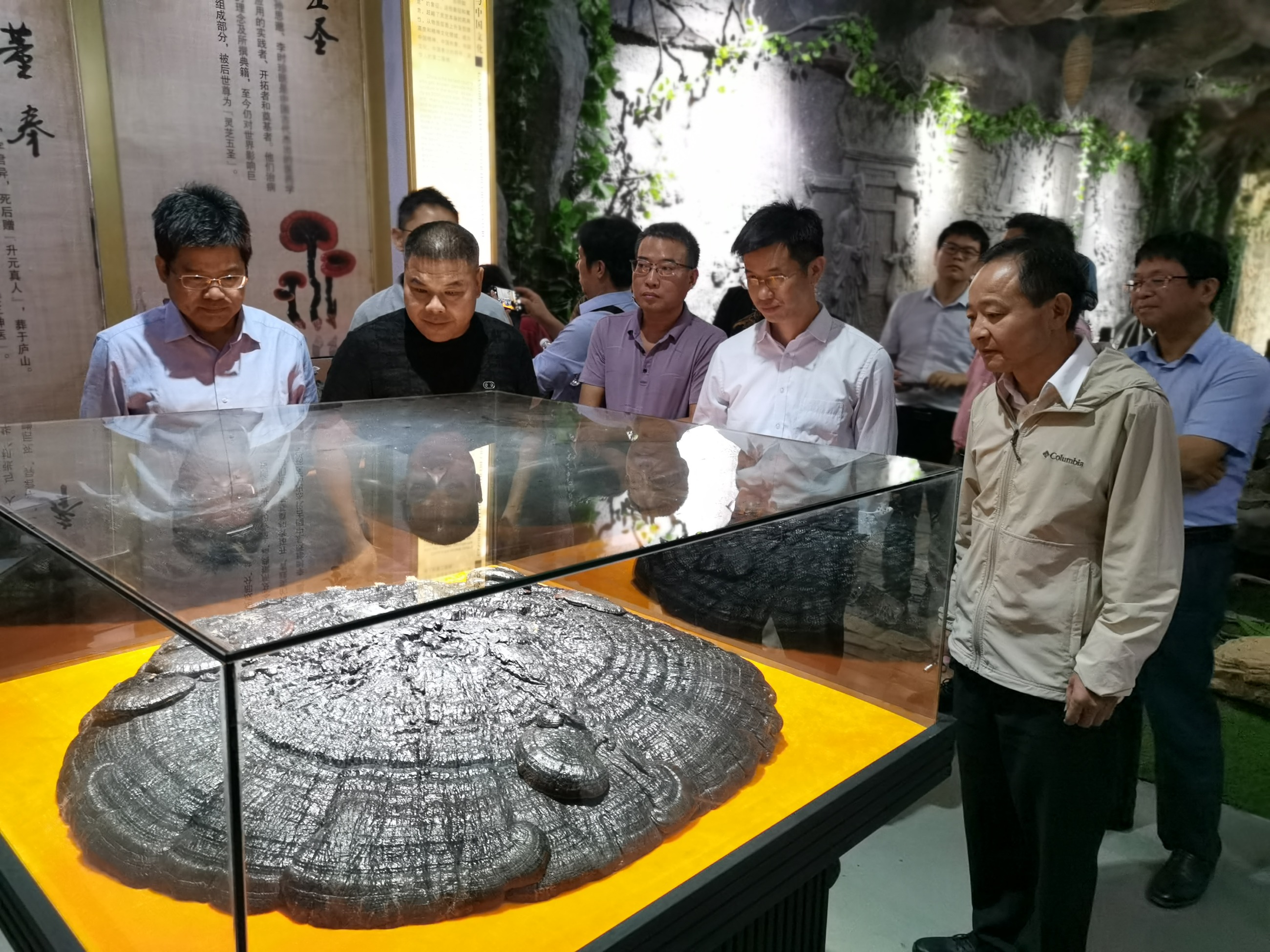 杭州亞運(yùn)會(huì)官方靈芝產(chǎn)品供應(yīng)商|杭州亞運(yùn)會(huì)官方供應(yīng)商|中國(guó)靈芝十大品牌|仙客來(lái)靈芝|仙客來(lái)靈芝破壁孢子粉|仙客來(lái)孢子油|仙客來(lái)靈芝飲片|仙客來(lái)破壁孢子粉|靈芝孢子油|孢子粉|靈芝破壁孢子粉|靈芝|中華老字號(hào) 杭州亞運(yùn)會(huì)官方靈芝產(chǎn)品供應(yīng)商|杭州亞運(yùn)會(huì)官方供應(yīng)商|中國(guó)靈芝十大品牌|仙客來(lái)靈芝|仙客來(lái)靈芝破壁孢子粉|仙客來(lái)孢子油|仙客來(lái)靈芝飲片|仙客來(lái)破壁孢子粉|靈芝孢子油|孢子粉|靈芝破壁孢子粉|靈芝|中華老字號(hào)