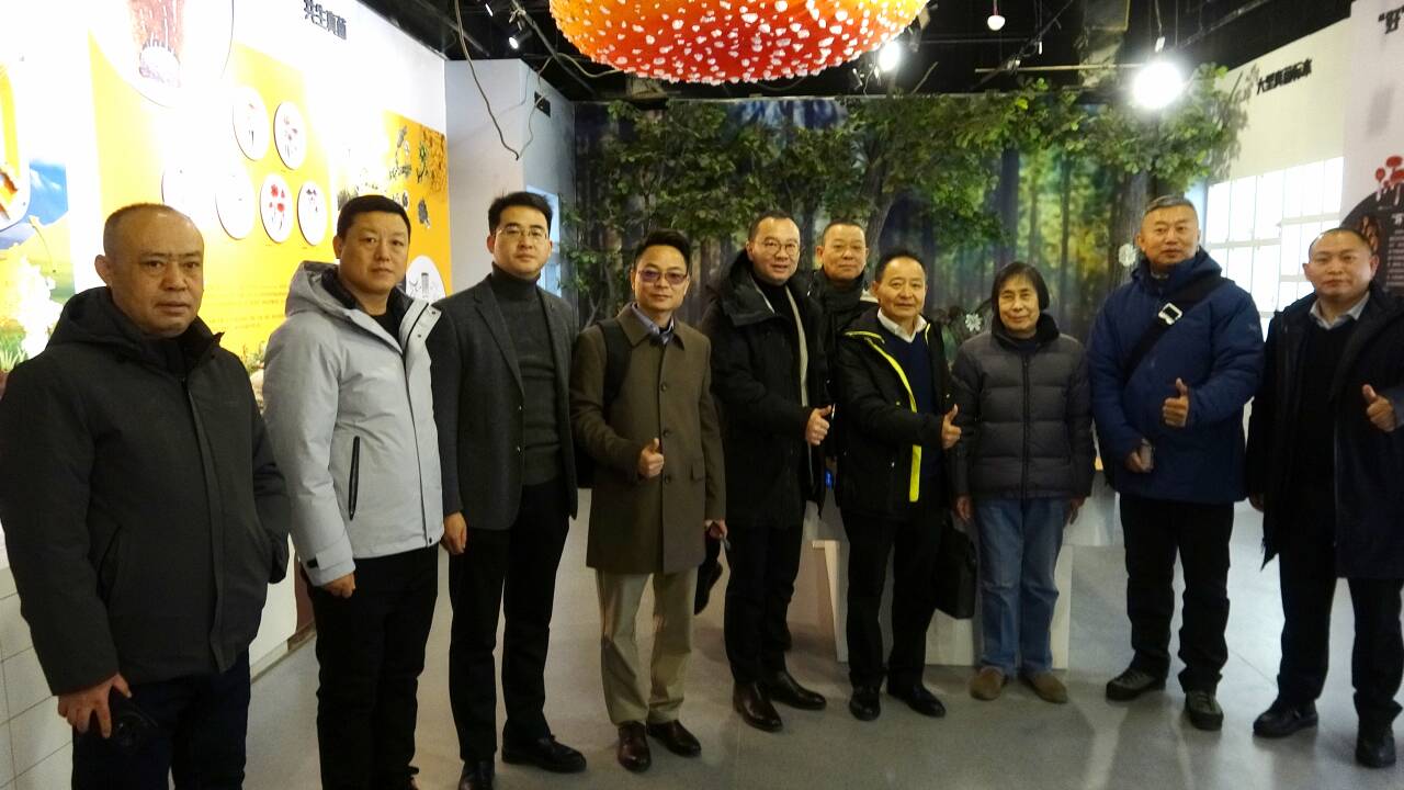 杭州亞運會官方靈芝產(chǎn)品供應商|杭州亞運會官方供應商|中國靈芝十大品牌|仙客來靈芝|仙客來靈芝破壁孢子粉|仙客來孢子油|仙客來靈芝飲片|仙客來破壁孢子粉|靈芝孢子油|孢子粉|靈芝破壁孢子粉|靈芝|中華老字號 杭州亞運會官方靈芝產(chǎn)品供應商|杭州亞運會官方供應商|中國靈芝十大品牌|仙客來靈芝|仙客來靈芝破壁孢子粉|仙客來孢子油|仙客來靈芝飲片|仙客來破壁孢子粉|靈芝孢子油|孢子粉|靈芝破壁孢子粉|靈芝|中華老字號