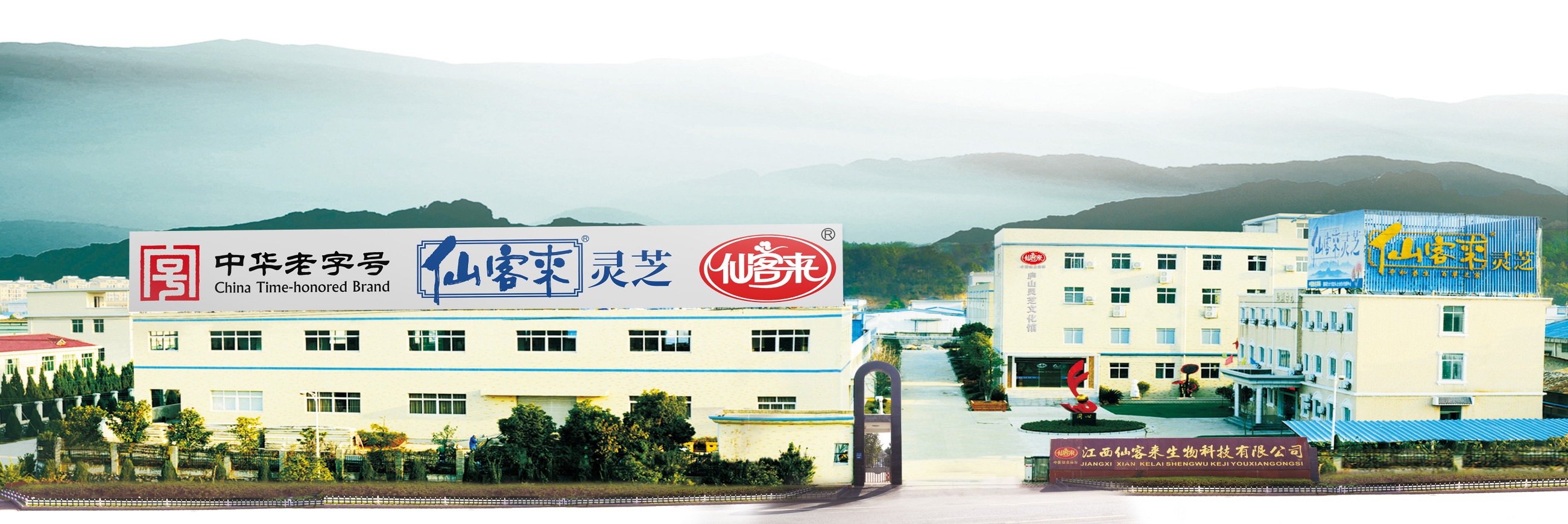 杭州亞運會官方靈芝產(chǎn)品供應商|杭州亞運會官方供應商|中國靈芝十大品牌|仙客來靈芝|仙客來靈芝破壁孢子粉|仙客來孢子油|仙客來靈芝飲片|仙客來破壁孢子粉|靈芝孢子油|孢子粉|靈芝破壁孢子粉|靈芝|中華老字號 杭州亞運會官方靈芝產(chǎn)品供應商|杭州亞運會官方供應商|中國靈芝十大品牌|仙客來靈芝|仙客來靈芝破壁孢子粉|仙客來孢子油|仙客來靈芝飲片|仙客來破壁孢子粉|靈芝孢子油|孢子粉|靈芝破壁孢子粉|靈芝|中華老字號