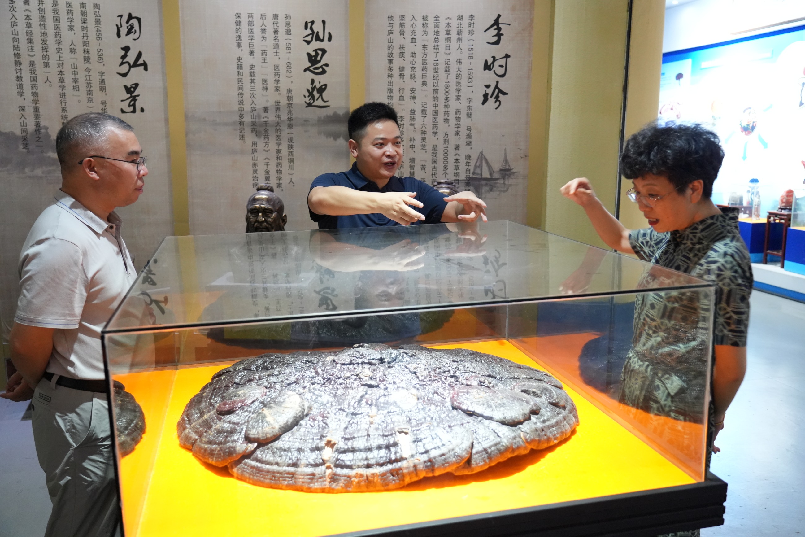 杭州亞運(yùn)會(huì)官方靈芝產(chǎn)品供應(yīng)商|杭州亞運(yùn)會(huì)官方供應(yīng)商|中國靈芝十大品牌|仙客來靈芝|仙客來靈芝破壁孢子粉|仙客來孢子油|仙客來靈芝飲片|仙客來破壁孢子粉|靈芝孢子油|孢子粉|靈芝破壁孢子粉|靈芝|中華老字號(hào) 杭州亞運(yùn)會(huì)官方靈芝產(chǎn)品供應(yīng)商|杭州亞運(yùn)會(huì)官方供應(yīng)商|中國靈芝十大品牌|仙客來靈芝|仙客來靈芝破壁孢子粉|仙客來孢子油|仙客來靈芝飲片|仙客來破壁孢子粉|靈芝孢子油|孢子粉|靈芝破壁孢子粉|靈芝|中華老字號(hào)