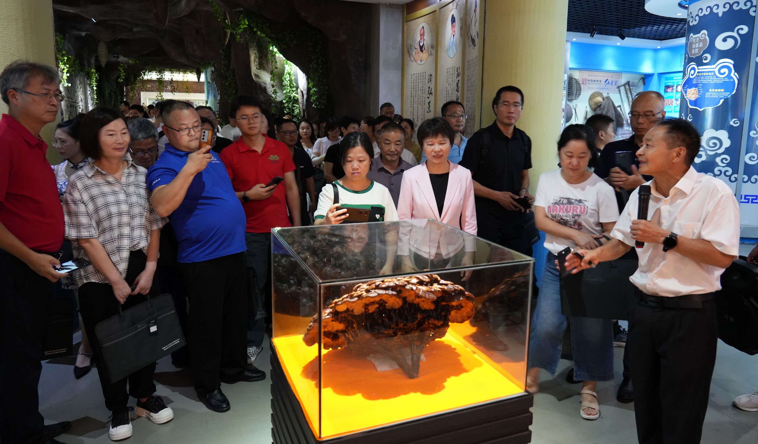 杭州亞運(yùn)會(huì)官方靈芝產(chǎn)品供應(yīng)商|杭州亞運(yùn)會(huì)官方供應(yīng)商|中國靈芝十大品牌|仙客來靈芝|仙客來靈芝破壁孢子粉|仙客來孢子油|仙客來靈芝飲片|仙客來破壁孢子粉|靈芝孢子油|孢子粉|靈芝破壁孢子粉|靈芝|中華老字號(hào) 杭州亞運(yùn)會(huì)官方靈芝產(chǎn)品供應(yīng)商|杭州亞運(yùn)會(huì)官方供應(yīng)商|中國靈芝十大品牌|仙客來靈芝|仙客來靈芝破壁孢子粉|仙客來孢子油|仙客來靈芝飲片|仙客來破壁孢子粉|靈芝孢子油|孢子粉|靈芝破壁孢子粉|靈芝|中華老字號(hào)