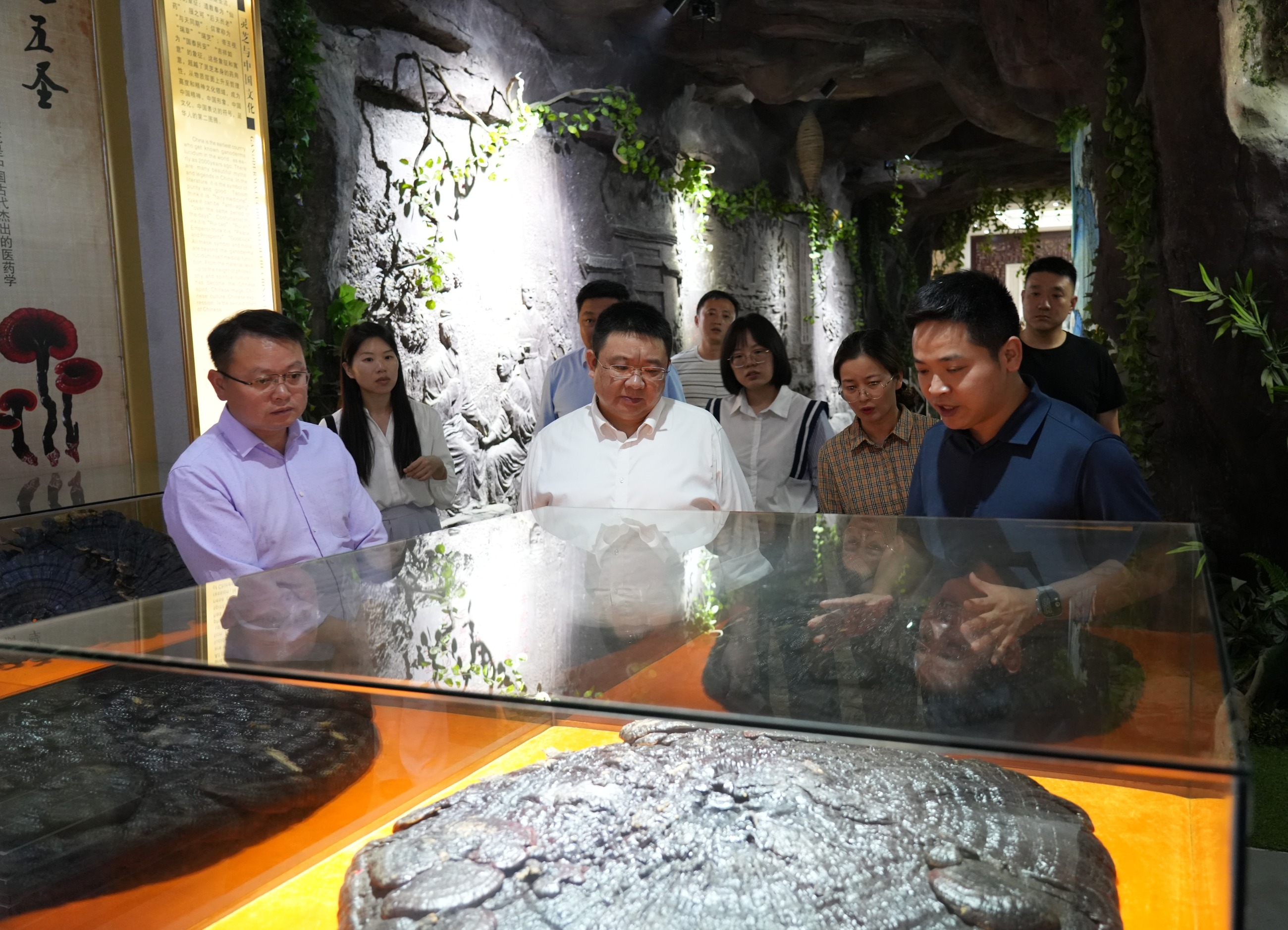 杭州亞運(yùn)會(huì)官方靈芝產(chǎn)品供應(yīng)商|杭州亞運(yùn)會(huì)官方供應(yīng)商|中國(guó)靈芝十大品牌|仙客來(lái)靈芝|仙客來(lái)靈芝破壁孢子粉|仙客來(lái)孢子油|仙客來(lái)靈芝飲片|仙客來(lái)破壁孢子粉|靈芝孢子油|孢子粉|靈芝破壁孢子粉|靈芝|中華老字號(hào) 杭州亞運(yùn)會(huì)官方靈芝產(chǎn)品供應(yīng)商|杭州亞運(yùn)會(huì)官方供應(yīng)商|中國(guó)靈芝十大品牌|仙客來(lái)靈芝|仙客來(lái)靈芝破壁孢子粉|仙客來(lái)孢子油|仙客來(lái)靈芝飲片|仙客來(lái)破壁孢子粉|靈芝孢子油|孢子粉|靈芝破壁孢子粉|靈芝|中華老字號(hào)