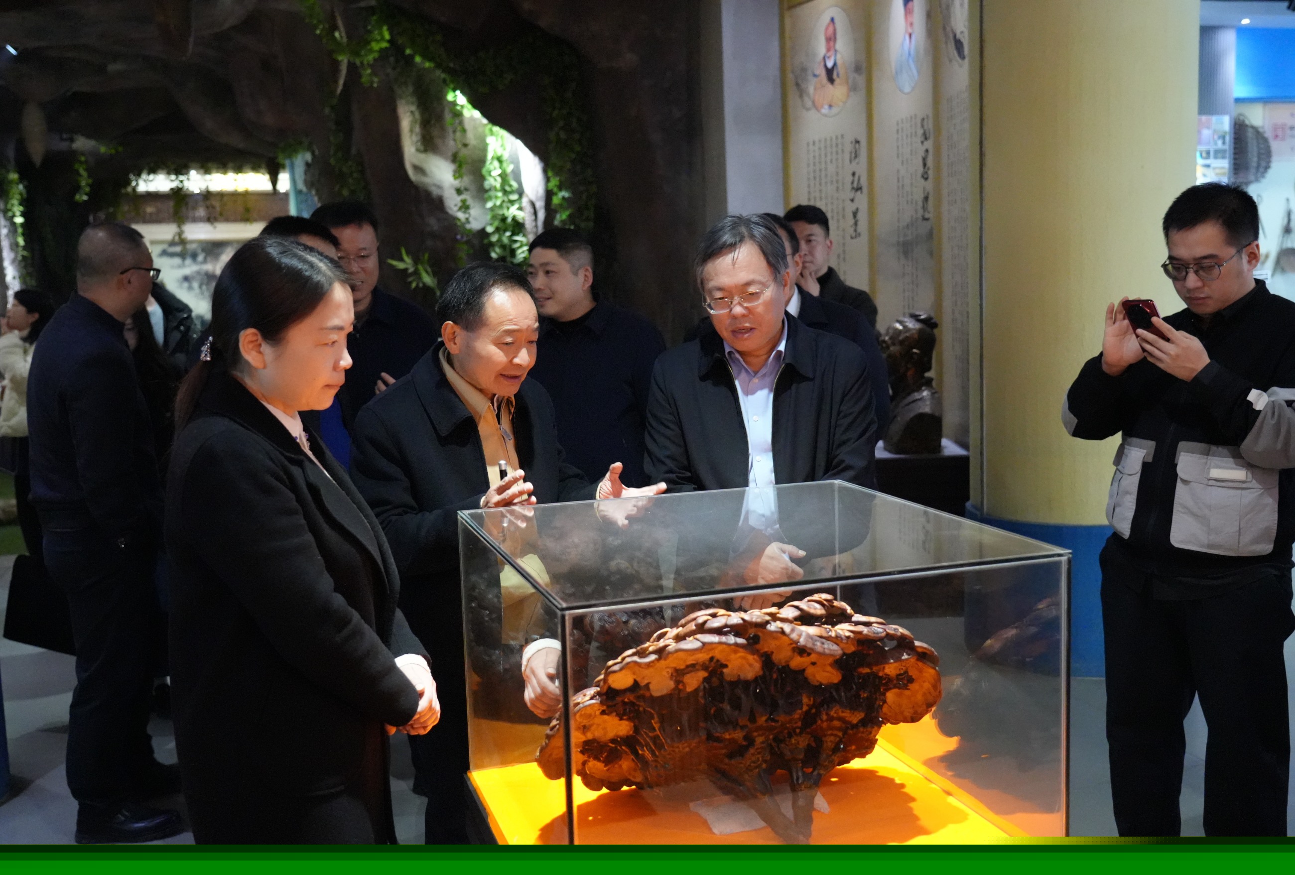 杭州亞運(yùn)會(huì)官方靈芝產(chǎn)品供應(yīng)商|杭州亞運(yùn)會(huì)官方供應(yīng)商|中國(guó)靈芝十大品牌|仙客來靈芝|仙客來靈芝破壁孢子粉|仙客來孢子油|仙客來靈芝飲片|仙客來破壁孢子粉|靈芝孢子油|孢子粉|靈芝破壁孢子粉|靈芝|中華老字號(hào) 杭州亞運(yùn)會(huì)官方靈芝產(chǎn)品供應(yīng)商|杭州亞運(yùn)會(huì)官方供應(yīng)商|中國(guó)靈芝十大品牌|仙客來靈芝|仙客來靈芝破壁孢子粉|仙客來孢子油|仙客來靈芝飲片|仙客來破壁孢子粉|靈芝孢子油|孢子粉|靈芝破壁孢子粉|靈芝|中華老字號(hào)