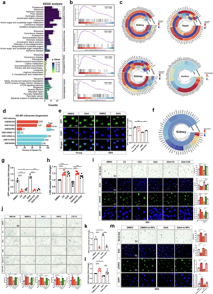 杭州亞運(yùn)會(huì)官方靈芝產(chǎn)品供應(yīng)商|杭州亞運(yùn)會(huì)官方供應(yīng)商|中國(guó)靈芝十大品牌|仙客來(lái)靈芝|仙客來(lái)靈芝破壁孢子粉|仙客來(lái)孢子油|仙客來(lái)靈芝飲片|仙客來(lái)破壁孢子粉|靈芝孢子油|孢子粉|靈芝破壁孢子粉|靈芝|中華老字號(hào) 杭州亞運(yùn)會(huì)官方靈芝產(chǎn)品供應(yīng)商|杭州亞運(yùn)會(huì)官方供應(yīng)商|中國(guó)靈芝十大品牌|仙客來(lái)靈芝|仙客來(lái)靈芝破壁孢子粉|仙客來(lái)孢子油|仙客來(lái)靈芝飲片|仙客來(lái)破壁孢子粉|靈芝孢子油|孢子粉|靈芝破壁孢子粉|靈芝|中華老字號(hào)