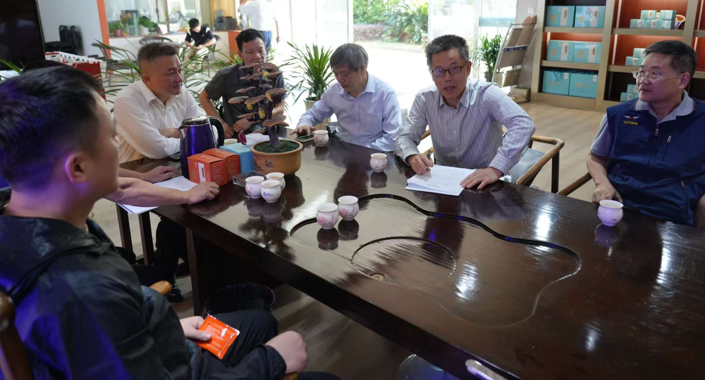 杭州亞運(yùn)會(huì)官方靈芝產(chǎn)品供應(yīng)商|杭州亞運(yùn)會(huì)官方供應(yīng)商|中國靈芝十大品牌|仙客來靈芝|仙客來靈芝破壁孢子粉|仙客來孢子油|仙客來靈芝飲片|仙客來破壁孢子粉|靈芝孢子油|孢子粉|靈芝破壁孢子粉|靈芝|中華老字號(hào)