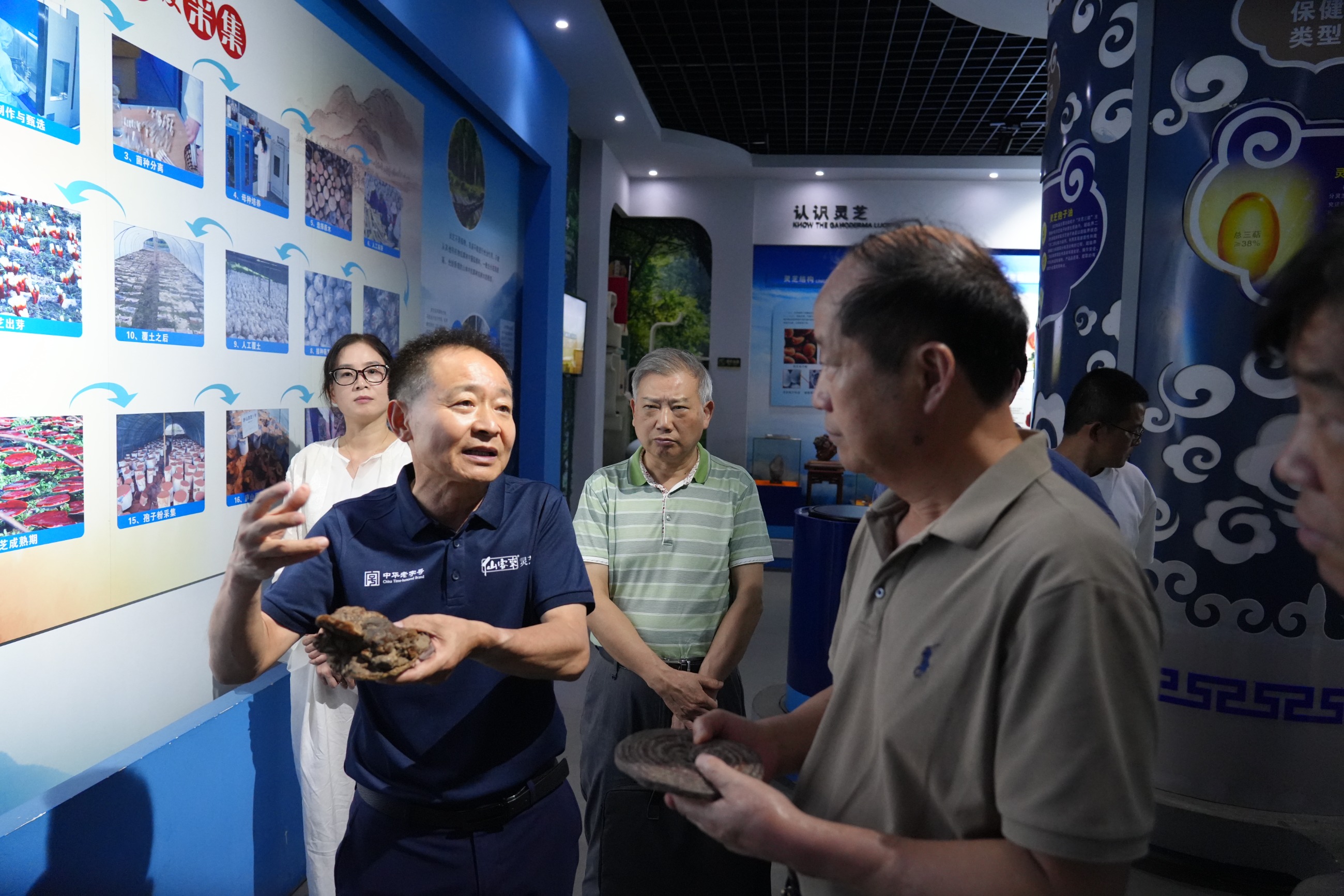 杭州亞運會官方靈芝產(chǎn)品供應(yīng)商|杭州亞運會官方供應(yīng)商|中國靈芝十大品牌|仙客來靈芝|仙客來靈芝破壁孢子粉|仙客來孢子油|仙客來靈芝飲片|仙客來破壁孢子粉|靈芝孢子油|孢子粉|靈芝破壁孢子粉|靈芝|中華老字號 杭州亞運會官方靈芝產(chǎn)品供應(yīng)商|杭州亞運會官方供應(yīng)商|中國靈芝十大品牌|仙客來靈芝|仙客來靈芝破壁孢子粉|仙客來孢子油|仙客來靈芝飲片|仙客來破壁孢子粉|靈芝孢子油|孢子粉|靈芝破壁孢子粉|靈芝|中華老字號