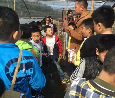 仙客來有機(jī)靈芝全產(chǎn)業(yè)鏈可視工廠今年接待游客突破7萬(wàn)