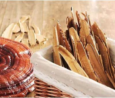 仙客來有機精選赤靈芝切片煲湯泡茶必備好物