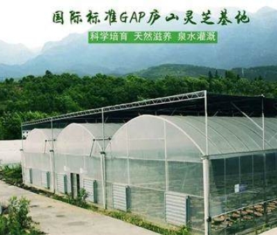 北宋名人蘇軾游廬山有感