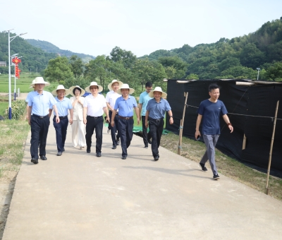 全國(guó)工商聯(lián)社會(huì)服務(wù)部部長(zhǎng)吳建輝一行蒞臨仙客來靈芝標(biāo)準(zhǔn)化基地等地調(diào)研