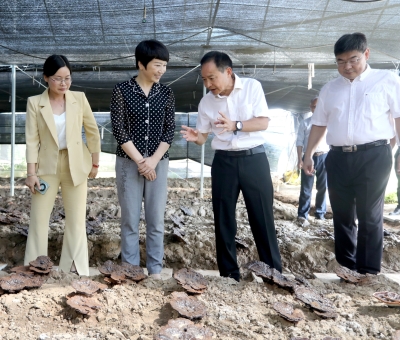 江西省委常委、宣傳部部長(zhǎng)盧小青深入廬山市通書(shū)院村靈芝基地調(diào)研